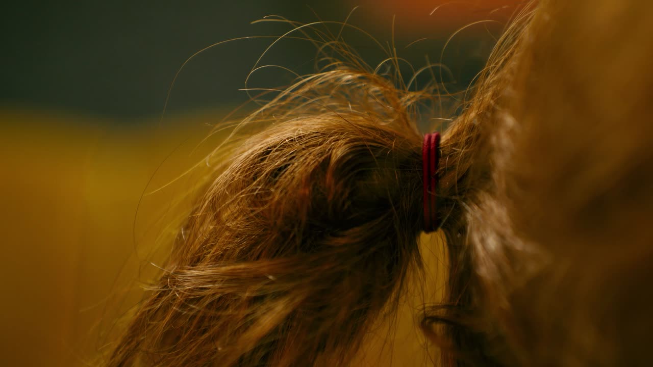 Close on a hair tie holding a loose ponytail, shot wide open